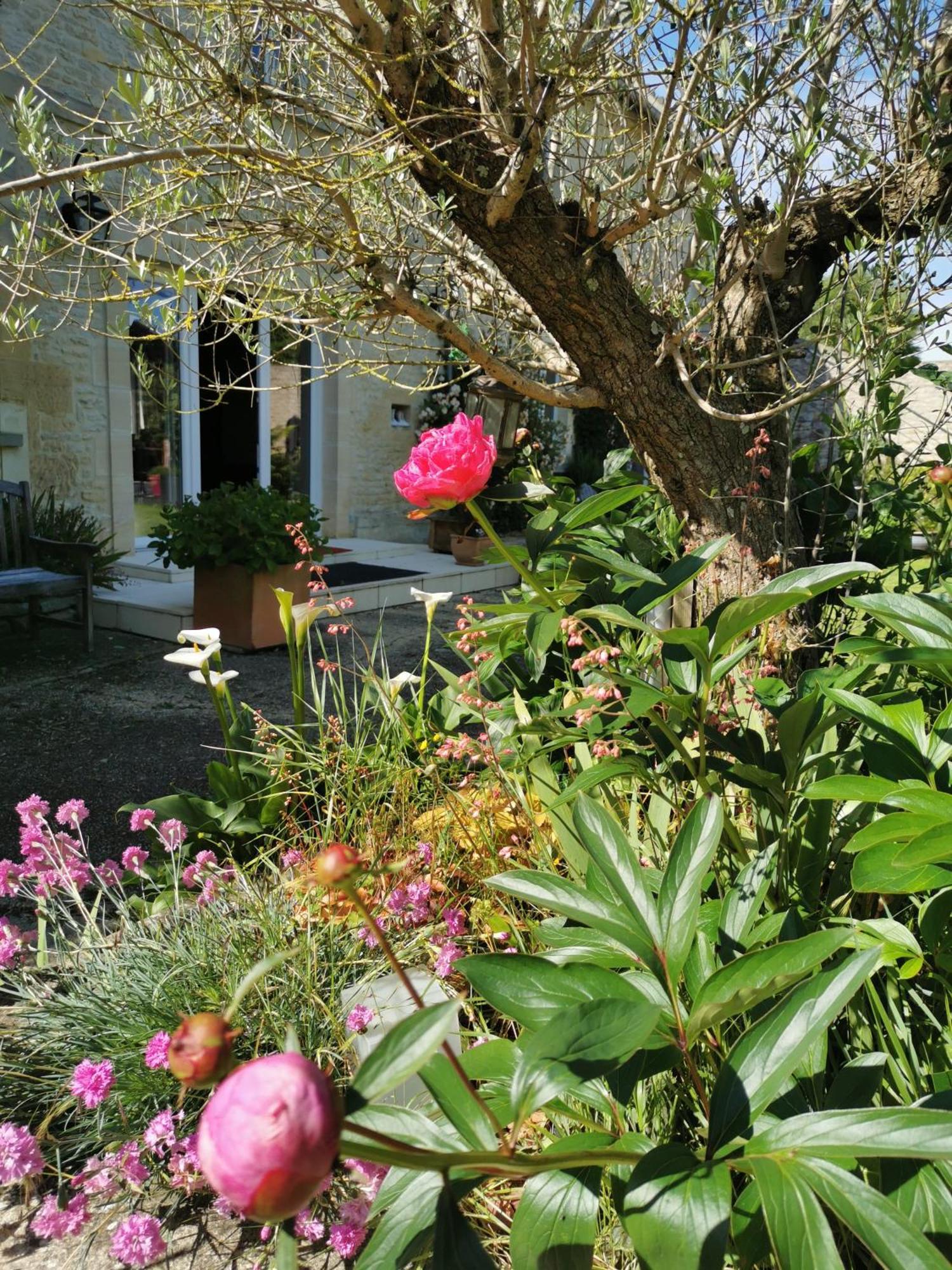 Chambre De L'Iris Sainte-Croix-sur-Mer Экстерьер фото